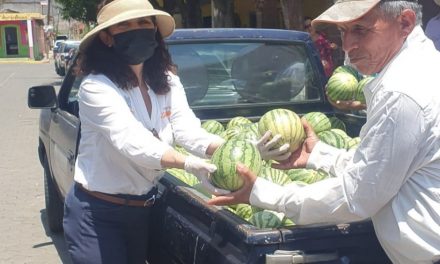 3 mil 540 personas se benefician con donación de sandía, en el municipio de Colima