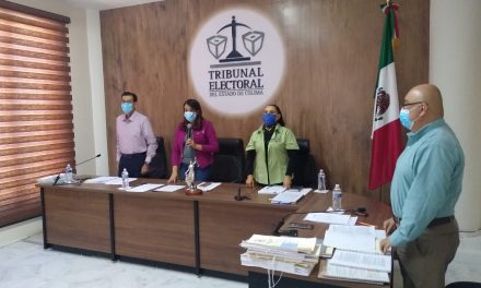 Del 16 de octubre de 2020, al 6 de julio de 2021, el TEE ha recibido 169 medios de impugnación: Ana carmen González