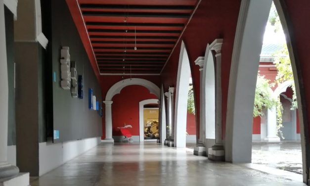 Reabren sus puertas museos de la Universidad de Colima
