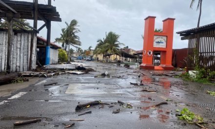 caída de árboles, reubicación de personas en Pascuales y  daños no cuantificados en Tecomán, por huracán