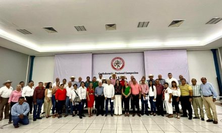 Reestructuran el consejo político estatal de la CNC, Miguel Ángel Galindo, protesta como secretario general del comité estatal