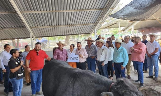 Ganaderos de Ixtlahuacán reciben apoyos